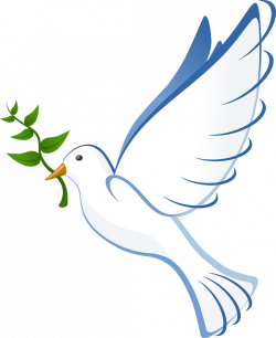 Free Image on Pixabay - Dove, Peace, Flying, Freedom | Templates ...