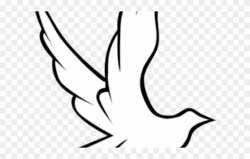 White Dove Clipart Pentecost - Clip Art - Png Download (#1856225 ...