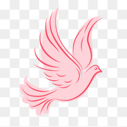 Dove Clipart Images, 91 PNG Format Clip Art For Free Download | Pngtree