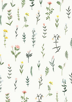 Botanical Clipart Wildflower Hand Drawn Floral Watercolor ...