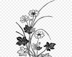 Free Flower Drawing Transparent Background, Download Free ...