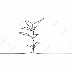 Plant Growing Continuous Line Art Drawing Vector ...