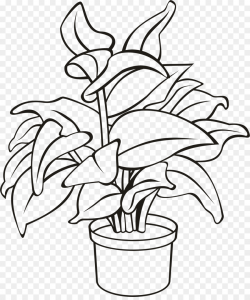 Black And White Flower clipart - Plants, Flower, Drawing ...