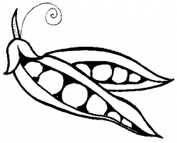 peas drawing | Peas Drawing Peas were quite a popular ...