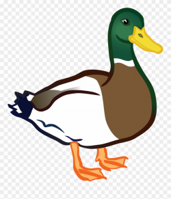 Ducks Clipart - Clip Art Duck Png Transparent Png (#285681) - PinClipart