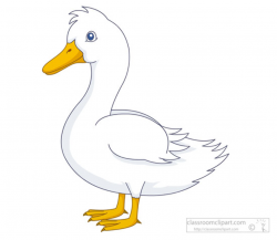 Free duck clipart clip art pictures graphics illustrations 2 ...