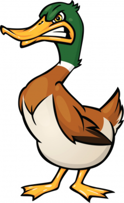 Free Angry Duck Cliparts, Download Free Clip Art, Free Clip Art on ...