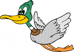 Free Pictures Of Animated Ducks, Download Free Clip Art, Free Clip ...