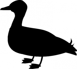 Mallard Duck Clipart Black And White | Clipart Panda - Free Clipart ...
