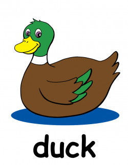 Free Duck Clipart, Download Free Clip Art, Free Clip Art on Clipart ...