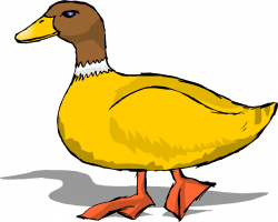 Cartoon duck clipart image - ClipartBarn