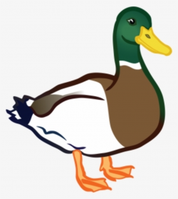 Duck Clipart PNG, Transparent Duck Clipart PNG Image Free Download ...