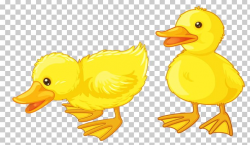 Baby Ducks Baby Duckling PNG, Clipart, American Pekin, Animal Figure ...