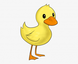 Duck - Duckling Clipart PNG Image | Transparent PNG Free Download on ...