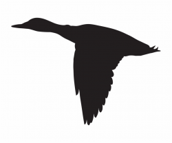 Duck Flying Silhouette Png Clip Art Image Ⓒ Free PNG Images ...