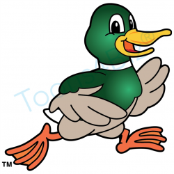 Pics Of Cartoon Ducks Clipart | Free download best Pics Of Cartoon ...