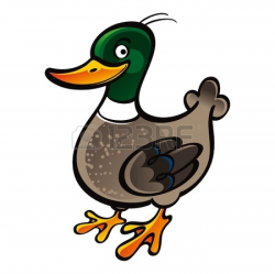 Mallard Duck Clipart | Clipart Panda - Free Clipart Images