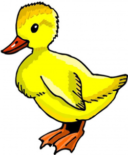 Free Duck Images Free, Download Free Clip Art, Free Clip Art on ...