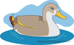 Swimming duck clipart - Clipartix