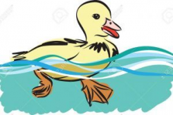 Ducks swimming clipart 9 » Clipart Portal