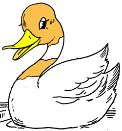 Free Duck Clipart, Download Free Clip Art, Free Clip Art on Clipart ...