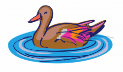 Ducks Clipart Swimming - Water Bird Clip Art Free PNG Images ...