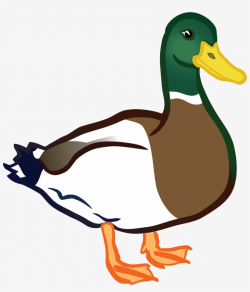 Clip Art Of Ducks Images On Page - Duck Clipart - Free Transparent ...