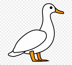 Duck Clip Art - White Duck Clipart - Png Download (#285717) - PinClipart