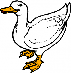 Duck Clip Art Black And White | Clipart Panda - Free Clipart Images