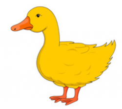 Free Duck Clipart - Clip Art Pictures - Graphics - Illustrations