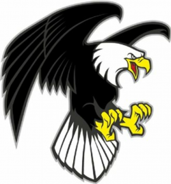 Cartoon Angry Eagle Mascot Wild Bird Car Bumper Sticker Decal 5 x ...