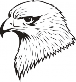 Bald Eagle Clipart Black And White (79+ images in Collection) Page 2