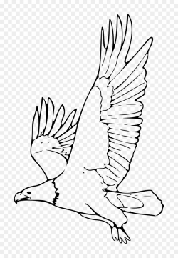 Black and white eagle clipart 5 » Clipart Station