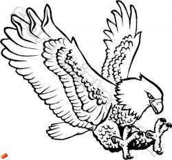 Black and white eagle clipart 4 » Clipart Station