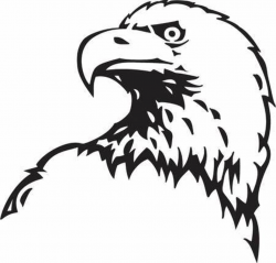 Bald eagle clipart black and white 5 » Clipart Portal