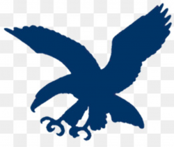 Blue Eagle PNG and Blue Eagle Transparent Clipart Free Download.