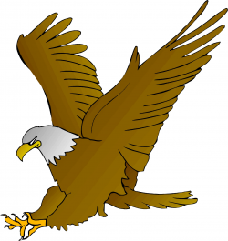 Cartoon eagle clipart - Cliparting.com