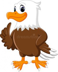 18 Best Eagles images in 2017 | Eagle cartoon, Eagles, Eagle vector
