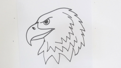 How to Draw an Eagle\'s Head