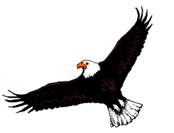 Free Eagle Flying Cliparts, Download Free Clip Art, Free Clip Art on ...