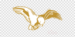 Bird, Eagle, Graphics, transparent png image & clipart free download