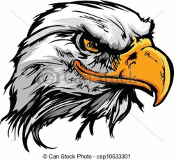 Vector Clipart of Graphic Head of a Bald Eagle Mascot Vector ...