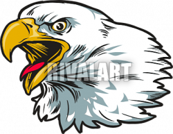 57+ Eagle Head Clipart | ClipartLook