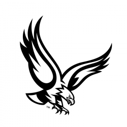 Eagle, Bird, Wing, transparent png image & clipart free download