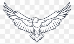 Download Free png Eagle Wings Png Photo Soaring Eagle Clipart Black ...