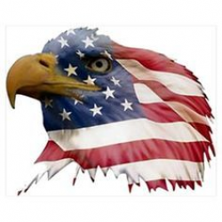 Patriotic eagle clipart 4 » Clipart Station