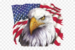 Bald Eagle Clipart Patriotic - American Eagle Images Transparent Png ...