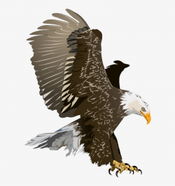 14 cliparts for free. Download Realistic clipart eagle images and ...