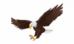 Bald Eagle Clipart Face - Eagle Flying Realistic Drawing Free PNG ...