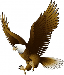 Free Eagle Cliparts, Download Free Clip Art, Free Clip Art on ...